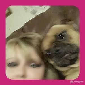 Meet your Posher, Priscilla